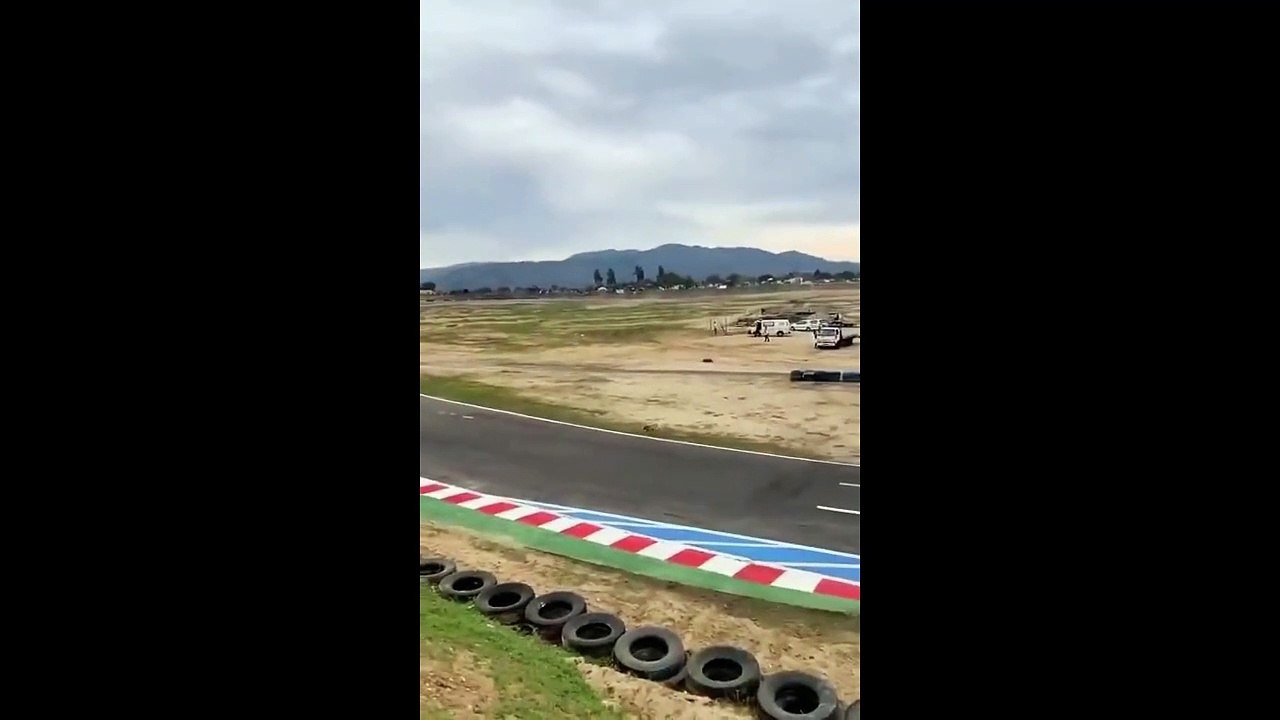 Ce chien traverse en pleine course de voiture... tranquille et chanceux