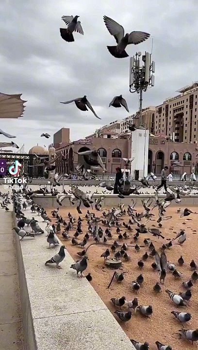 Islamic vedio portal development of interested among people