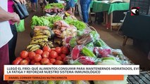 Llegó el frío qué alimentos consumir para mantenernos hidratados, evitar la fatiga y reforzar nuestro sistema inmunológico