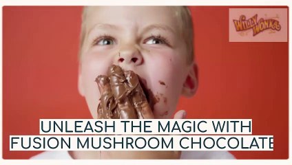 Discover the Magic Fusion Mushroom Bars for Ultimate Wellness