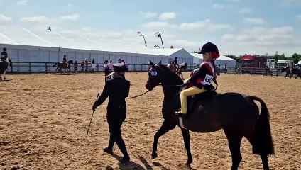 Warm up arena at Balmoral Show