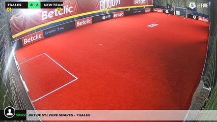 But de Sylvere Soares - THALES