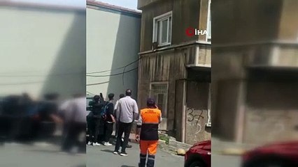 İstanbul'da başı boş maymun görüldü! İlginç anlar kamerada