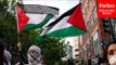 'They're Rooting For The Powerless': Political Scientist Explains Gen Z's Support For Palestinians