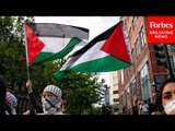 'They're Rooting For The Powerless': Political Scientist Explains Gen Z's Support For Palestinians