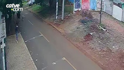 Cavalo sofre mal súbito e morre enquanto homem cavalgava em rua de Cascavel
