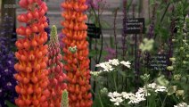 RHS Chelsea Flower Show 2024 episode 1