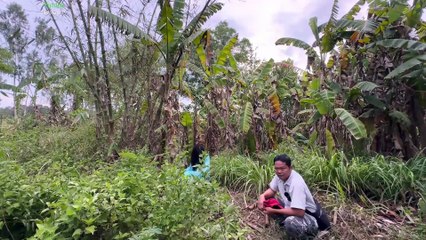 Tập 01 (Vietsub) Ma 100% Là Con Gái Chuyển Thể - Đi Quay Ma