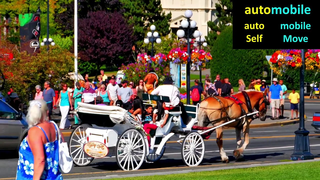 Voc Builder for Students by Using Prefixes, Roots and Suffixes. Part 6: auto.