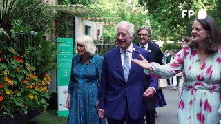 Rei Charles III e rainha Camilla visitam o Chelsea Flower Show