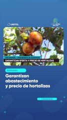 Garantizan abastecimiento y precio de hortalizas