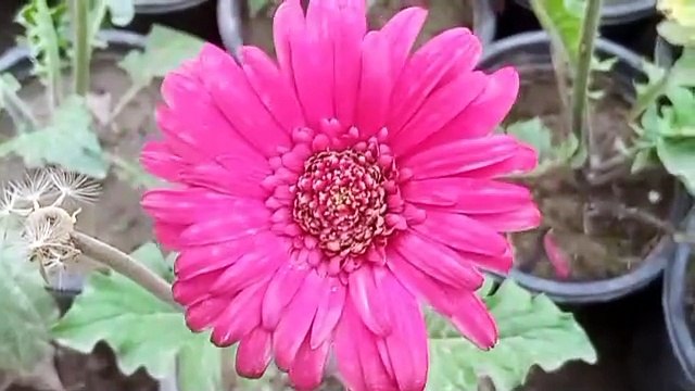 Manzil dua | Manzil dua by mishary | Manzil dua with urdu translation | Manzil dua fast | Manzil dua without ads | Manzil dua by sudais | Recitation | Manzil dua tarjuma ke sath | Manzil dua qari basit | Surah manzil | Episode 3