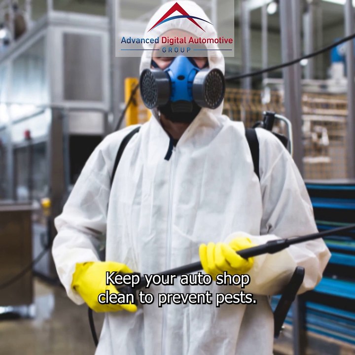 6 Tips For Preventing Pest Infestations In Auto Shops