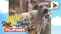 Sweet video ng mag-asawa sa Cebu City, ikinatuwa ng marami dahil sa kilig ng dalawa