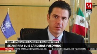 Luis Cárdenas Palomino solicita amparo para ser trasladado al Reclusorio Oriente en CdMx