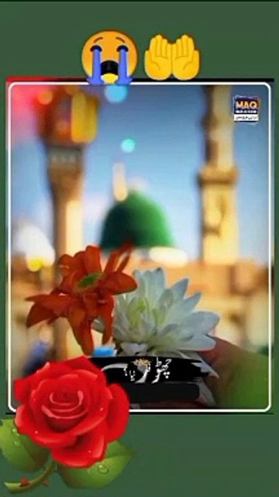 Islamic video| Islamic status| madinah videos| Madina status