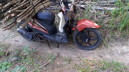 Ambil kayu bakar