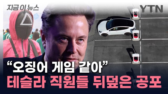 테슬라 내부는 오징어게임 ...머스크의 이메일 후 직원들 벌벌 [지금이뉴스] / YTN