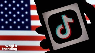 Meet One of the Creators Suing Over the TikTok Ban