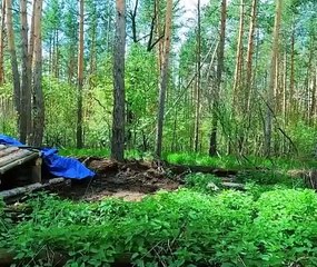 I built an underground wooden house.