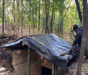 Building survival bushcraft in the forest