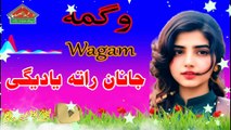 Janan Rata Yadeghi | Wagma | Pashto Song 2024 | A Samad Music Production l Pashto Old Songs