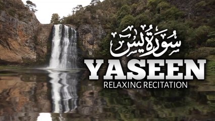 Relaxing Surah Yaseen | Surah Yasin | Ep 02 | Quran Recitation |یس سورہ 36 | edit&1202