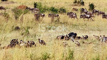 istockphoto-1571929307-640_adpp_is