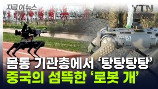 몸통에 기관총 장착...中 '로봇개' 성능에 커지는 우려 [지금이뉴스] / YTN