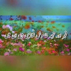 #islamicquotes#urduquotes#aqwalezareen