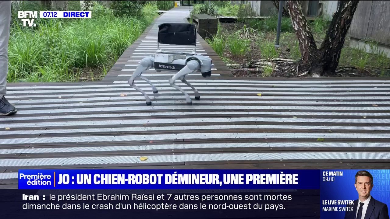 "Il peut même donner la patte": ce chien-robot démineur assistera les épiques de déminage pour les JO de Paris
