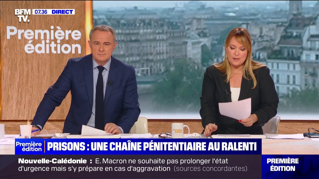 "Les malinois sont des chiens particuliers": Hélène Gateau, vétérinaire et journaliste, sur les différentes caractéristiques des malinois