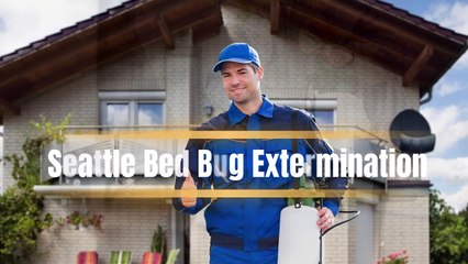 Seattle Bed Bug Extermination