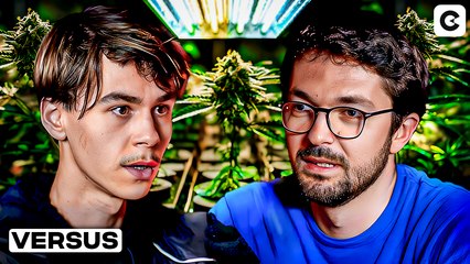 Le cannabis n'est pas une drogue ? | LE CRAYON