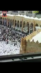 کائنات کا سب سے بڑا سچ یہ ہے کہ ؛ " رَبِّ الْعَالَمِينَ" تک پہنچنے کے لیے " رَحْمَۃً لِّلْعَالَمِیْنَ " کی پیروی کرنا ضروری ہے! ۔ " ❤❤