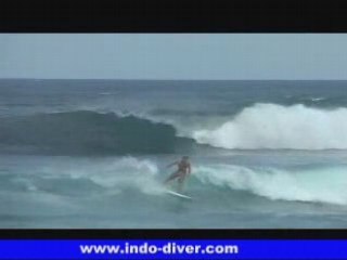 Surfing indonesia