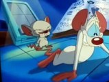 Pinky and the Brain Pinky and the Brain S01 E003 Tokyo Grows   That Smarts   Brainstem