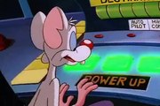 Pinky and the Brain Pinky and the Brain S02 E014 Brain of the Future