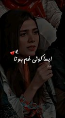 Popular Video of Imran Ashraf You Can't Miss! 🎬