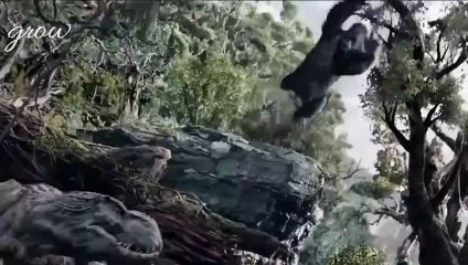 Gorillas are carnivores