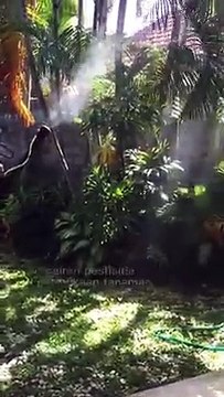 Fogging menggunakan Misting