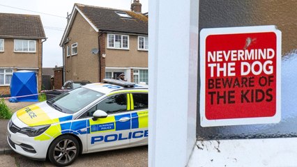 London woman dies in XL bully attack