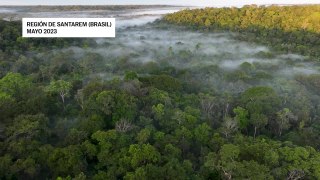 La Amazonia está en apuros
