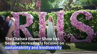 Changing climate influences London's Chelsea Flower Show