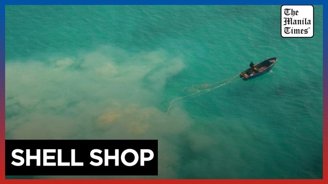 Philippines blames China for loss of giant clams in disputed shoal, urges environmental inquiry