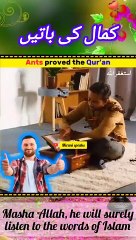 Ants__proved_the_Holy_Quran__Mashallah__Mirani_speaks__#shorts_#islam