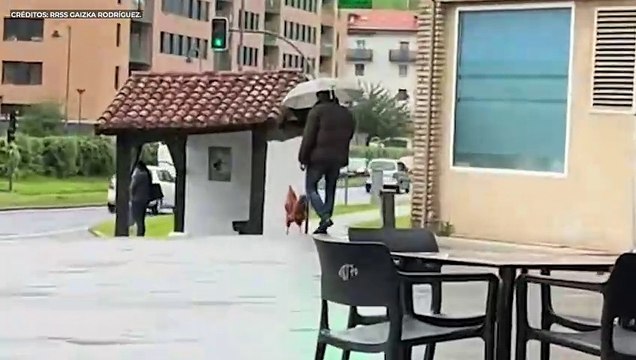 Un joven pasea por un pueblo del País Vasco y lo que capta con el móvil se vuelve viral