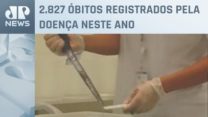 Casos prováveis de dengue no Brasil ultrapassam 5 milhões em 2024