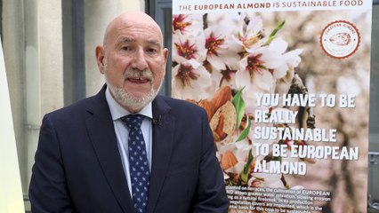 La almendra ibérica apuesta por Francia y Alemania para crecer en el mercado europeo