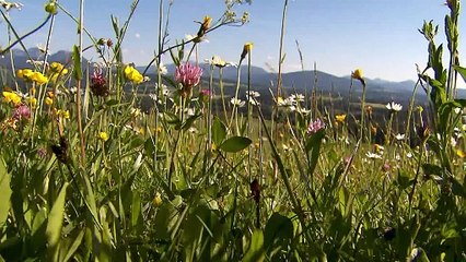 Paul al settimo cielo - Clip puntata 26.04.2024